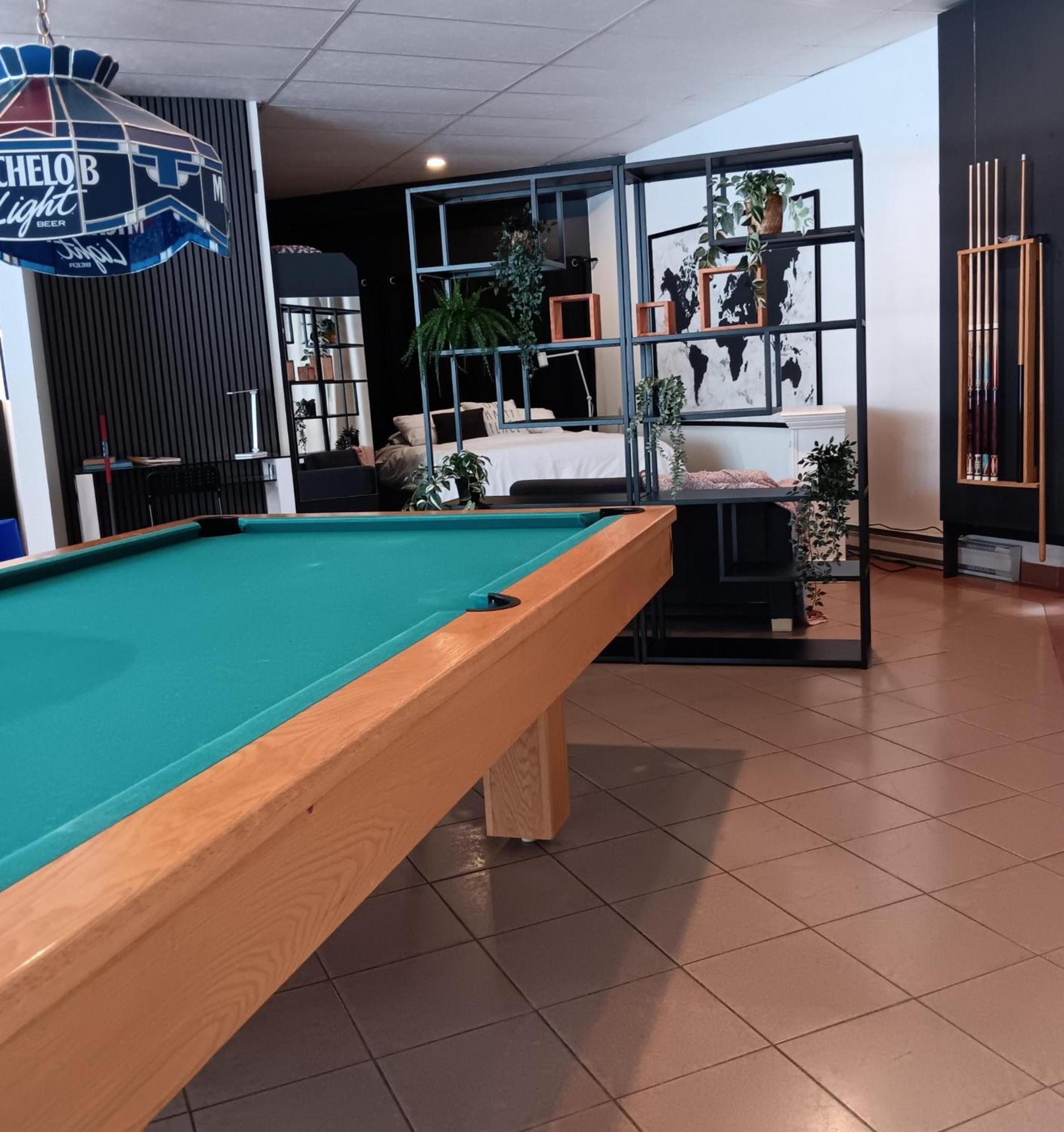 Loft Avec Vue A 180 Degre Appartement Louiseville Buitenkant foto
